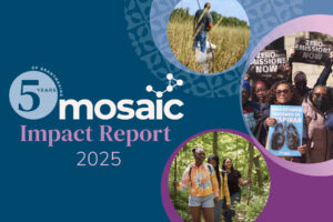 Cover of Mosaic impact report