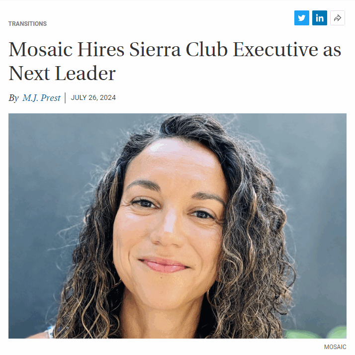 Screenshot 2024-08-06 095707